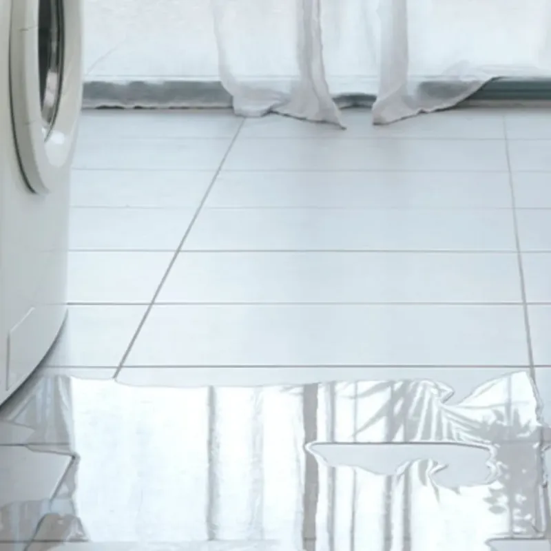 Appliance Leak Cleanup in Grandview, MO