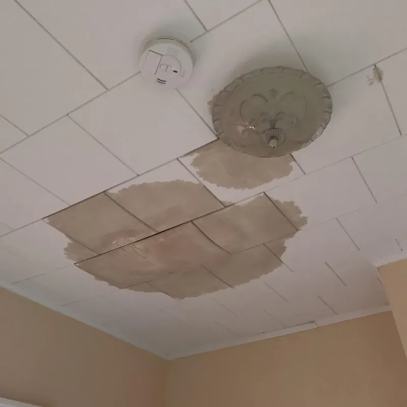 Ceiling Water Damage Repair in Grandview, MO