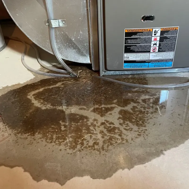 Pipe Burst and Leak Restoration in Grandview, MO