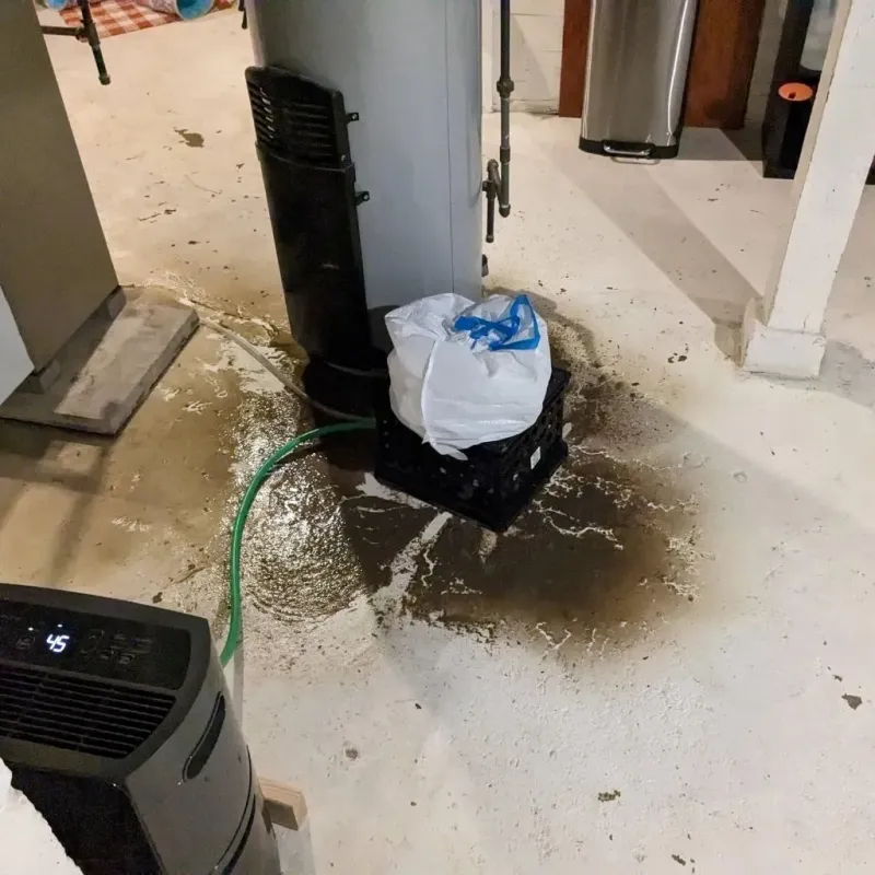 Sewage Backup Cleanup Service in Grandview, MO